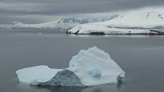 ANTARCTICA PENINSULA Day One  DALLMANN BAY and PARADISE HARBOUR February 24 2024 [upl. by Munro554]