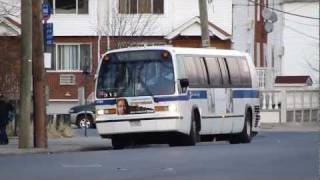 MTA NYCT Bus Stanley AvePostal Mail Facility Bus Action [upl. by Navaj]