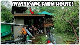 Pinsala ng Bagyong Aghon sa Aking Farm at Negosyo [upl. by Yrrehs]