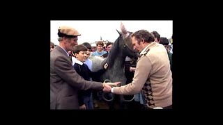 Ballinasloe Horse Fair October 1981 [upl. by Annahael]