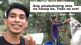 LIGAW SERYE PART 1 Diskarteng Batangenyo  Baka para sa dalaga [upl. by Caines]