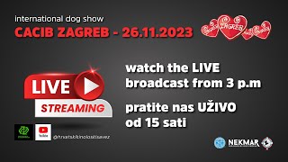 CACIB ZAGREB 26112023 [upl. by Gaul]