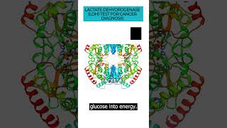 Delve into the Lactate DehydrogenaseLDH test and its role in diagnosing and monitoring cancer LDH [upl. by Juna]