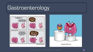 Doctor Professor Patrick Pediatrics Review Part 2 GI Hematology and Endocrinology [upl. by Vinay939]