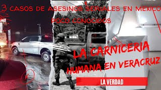 Carnicerías Humanas en Poza rica veracruz y otros dos casos macabros poco conocidos en Mexico [upl. by Trillby]