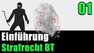 Strafrecht BT 01  Einführung [upl. by Omiseno]