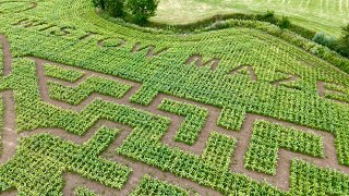 Wistow Maze 2024 Leicestershire UK 4K [upl. by Meensat]