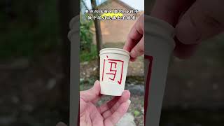 The used paper cups can be used like this Xiaohai loves to be funny [upl. by Windzer]