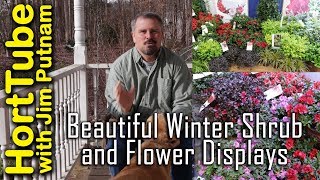 Beautiful Winter Shrub and Flower Displays [upl. by Lletnom]