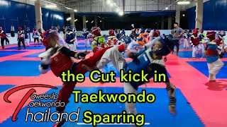 Taekwondo shortcut Ep9 Train styles Coach K H E M the Cut kick in Taekwondo Sparring [upl. by Tenner]