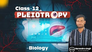 Pleiotropy Class 12th Biology Genetics [upl. by Gonagle]