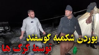 کمپ زمستانی  قسمت بیستم [upl. by Nyliahs377]