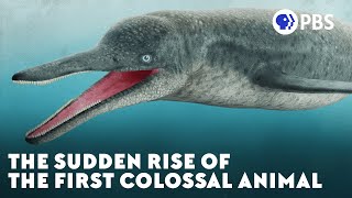 The Sudden Rise of the First Colossal Animal [upl. by Gerrit]