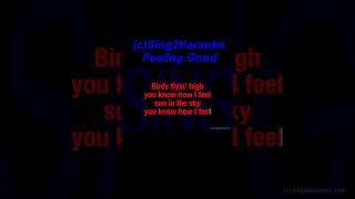 Hypaton David Guetta Feeling Good Karaoke Version Lyrics karaoke [upl. by Hardwick]