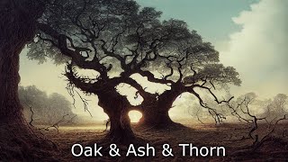 The Longest Johns  Oak amp Ash amp Thorn but with AIgenerated images for each lyric [upl. by Aerbas]