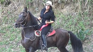 Cabalgata en Caicedonia Fiestas Aniversarias 108 Años [upl. by Basilius]