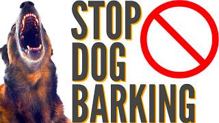 how to stop a dog from barking [upl. by Natelson]