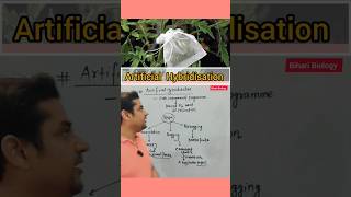 Emasculation Vs Bagging  neet botany ncertbiology short [upl. by Bunch375]