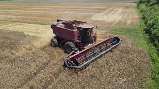 Winter Wheat Harvest in North Carolina [upl. by Boynton]