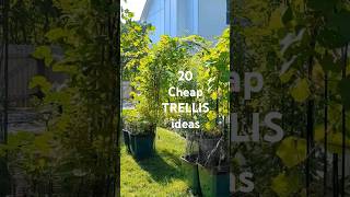 So MANY trellis ideas on a budget trellis verticalgardening verticalgardenideas gardening diy [upl. by Acisse]