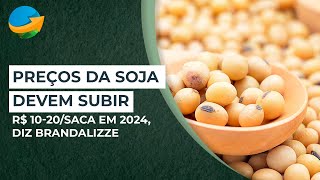 Preços da soja no Brasil devem subir R 1020saca em 2024 diz Brandalizze [upl. by Olivier]