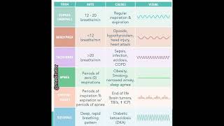 Abnormal Breathing Pattern aiims norcet meditutor [upl. by Aiblis]