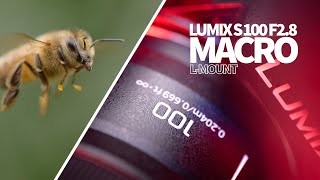 LUMIX S 100mm F28 Macro for LMount [upl. by Orelle]