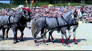 1 Hengstparade Marbach 2011  Hansjörg Hammann mit seinem LipizzanerGespann beim Hindernisfahren [upl. by Augie]