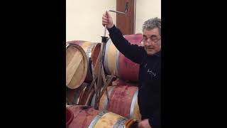 How to clarify red wine Fining  Part 3 [upl. by Chavey]