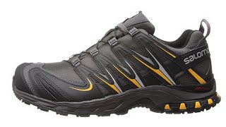 Salomon XA PRO 3D Shoes for Trail Hiking Mud Wet Weather [upl. by Onilatac298]