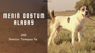 Meniň Dostum Alabaý Türkmen dokumental filmi  2012 [upl. by Herr879]