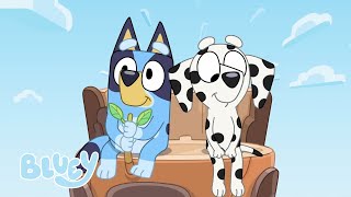 Los mejores amigos de Bluey y Bingo de la 2ª temporada  Bluey Español Canal Oficial [upl. by Losyram]