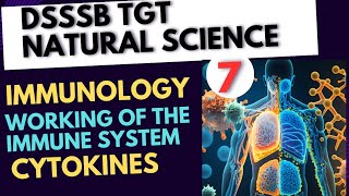 Immunology lecture 7 Cytokines for DSSSB TGT NATURAL SCIENCE 2024immunologydsssb [upl. by Hoes]