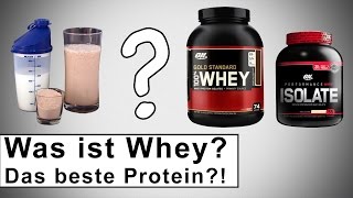 Was ist Whey Protein Wie wichtig ist es für den Muskelaufbau [upl. by Einrae776]