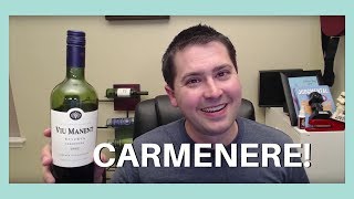 Viu Manent Carmenere Wine Review [upl. by Htur]