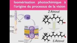 Géométrie des molécules  33 [upl. by Atnaloj338]