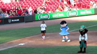 Mascots TBall game Cincinnati Reds GABP [upl. by Greyso]