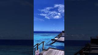 Maldives Would you like stay here hotel maldives island shorts [upl. by Coletta93]