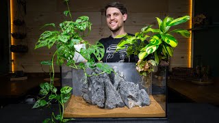 Definitive Guide to Growing Houseplants in an Aquarium [upl. by Filippo]