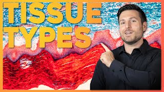 Intro to Histology The Four Tissue Types  Corporis [upl. by Digdirb]