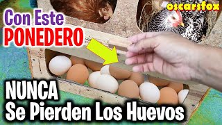 Los Mejores CRIADORES DE GALLINAS TIENEN ESTE NIDO  nidales para gallinas que protegen los huevos [upl. by Stieglitz]