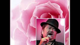 Het Rode Licht Andre hazes [upl. by Annahsal]