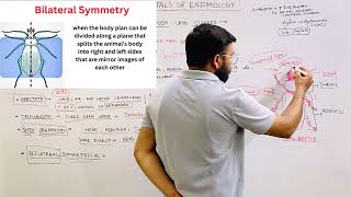 Phylum Arthropoda General Characteristics  Bsc Agriculture  Entomology [upl. by Flemings335]