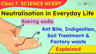 Application of Neutralisation in Everyday Life  NCERT Class 7  Acid Bases amp Salts  Allern Active [upl. by Ihcelek375]