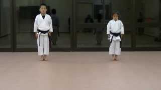 JKA Mahiro amp Masaki practice Heian shodangodan and Tekki shodan part 1 [upl. by Odelle]