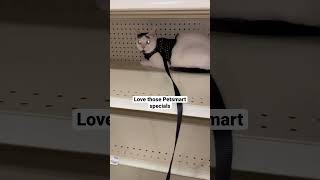 Petsmart has the best specials 😹🐱petsmart catdad2020 cats [upl. by Jakob]