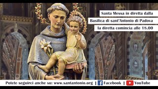 Santa Messa in diretta dalla Basilica del Santo a Padova [upl. by Ybrek568]