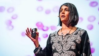 Sonia Shah 3 reasons we still havent gotten rid of malaria [upl. by Anertal]