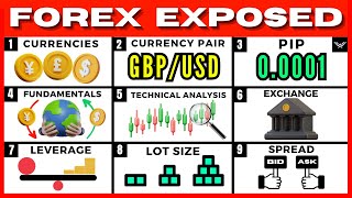 Forex Trading For Beginners FREE FULL COURSE [upl. by Lita68]