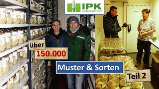 Eine Genbank mit über 150000 Mustern  Zu Besuch beim IPK in Gatersleben [upl. by Roinuj]